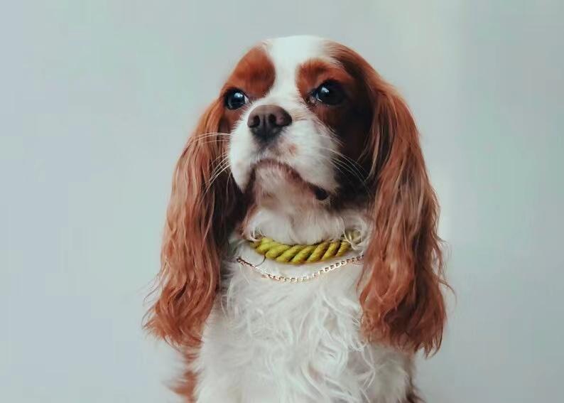 Cotton Rope Collar With Lightweight Gold Chain – Sunset — view 5