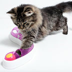Ball Track Chase Game for Cats