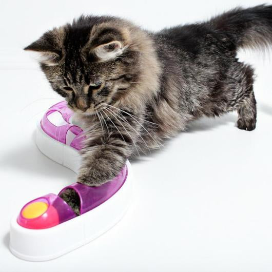 Ball Track Chase Game for Cats