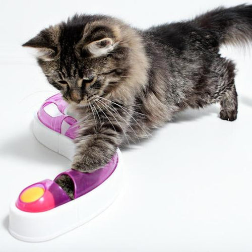 Ball Track Chase Game for Cats