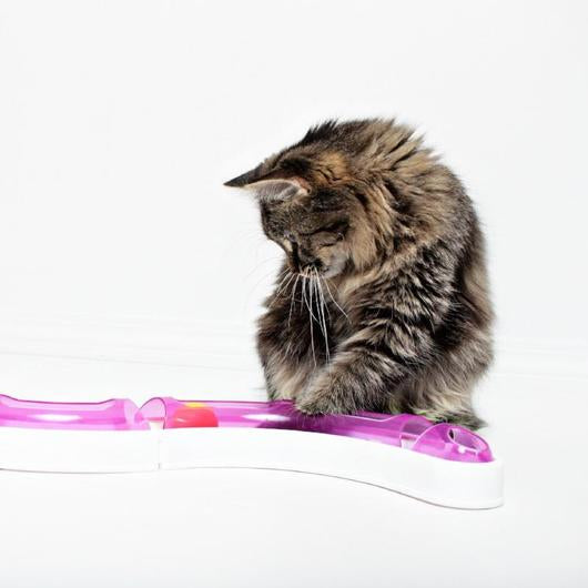 Ball Track Chase Game for Cats — view 2