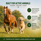 Advanced Recovery Liniment for Horses, Dogs & Active Animals | Veterinary Liniment Gel | DMSO, MSM, Magnesium & Castor Oil Liniment for Joint & Muscle Pain-4