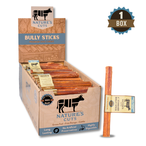 6" Standard Bully Sticks Display Box