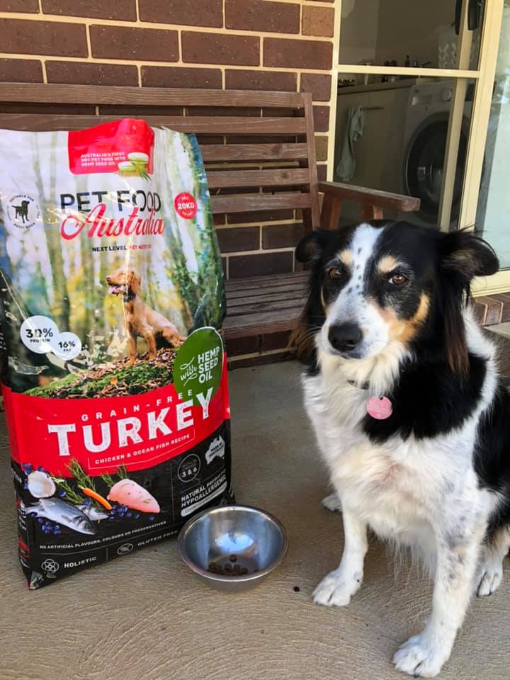Turkey, Chicken & Ocean Fish Dry Dog Food