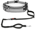 TrailBlazer Handsfree-Hundeleinen-Set