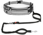 TrailBlazer Handsfree-Hundeleinen-Set