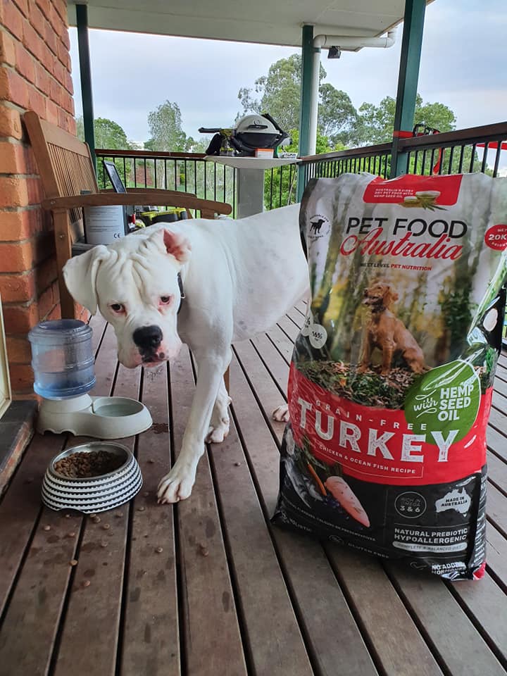 Turkey, Chicken & Ocean Fish Dry Dog Food