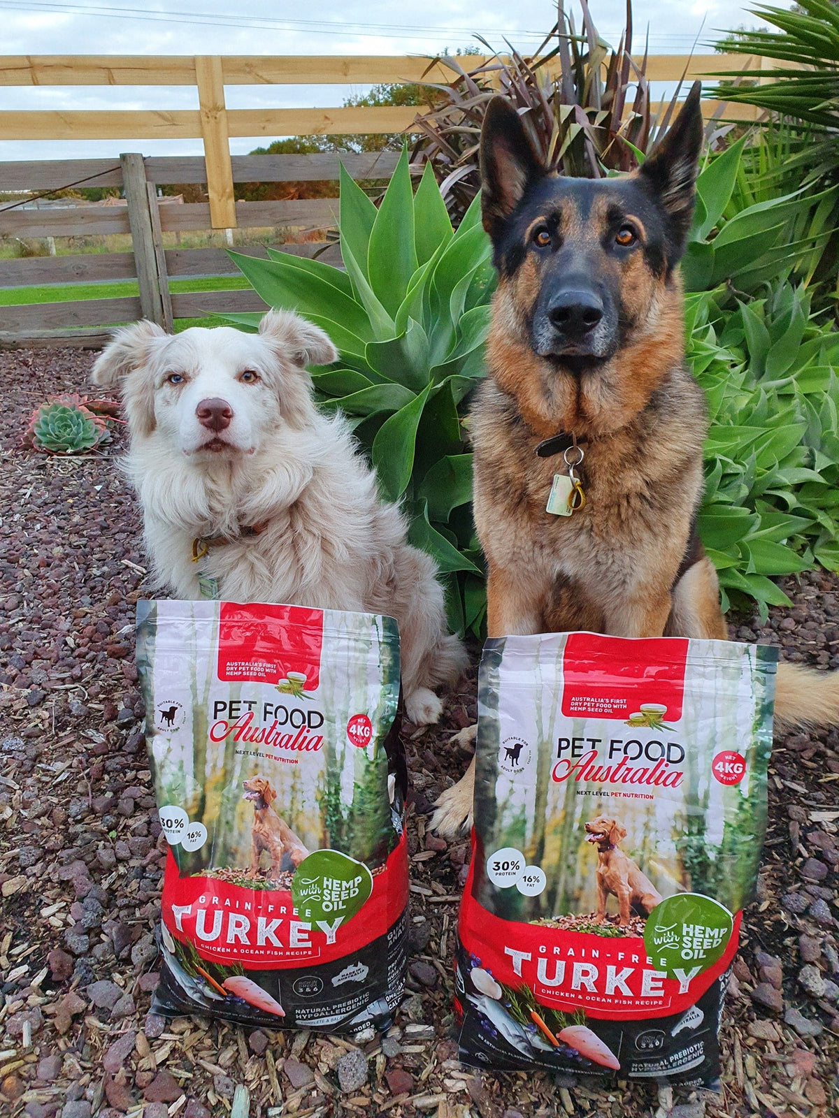 Turkey, Chicken & Ocean Fish Dry Dog Food