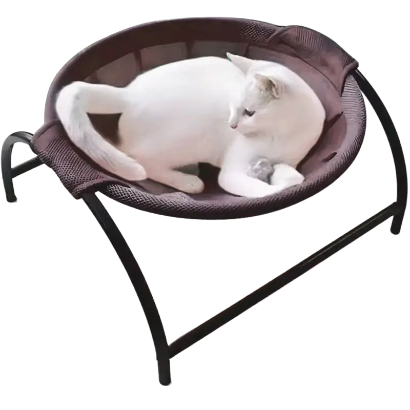 Elevated Mesh Cat Hammock Bed