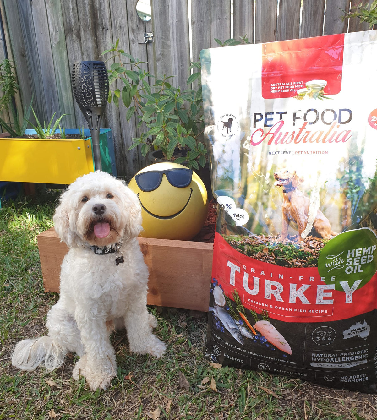 Turkey, Chicken & Ocean Fish Dry Dog Food