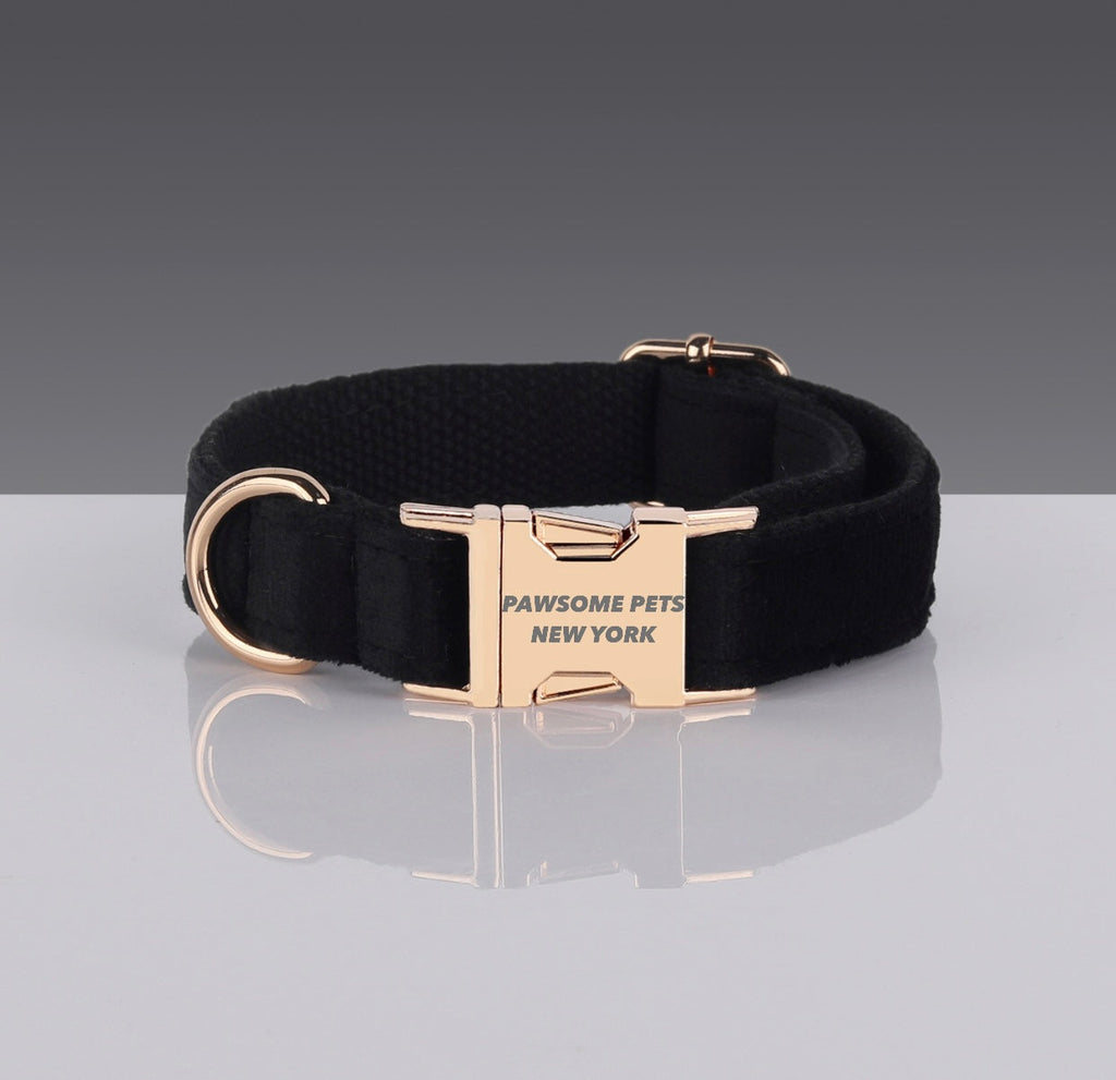 Adjustable Nylon Dog & Cat Collar – #9