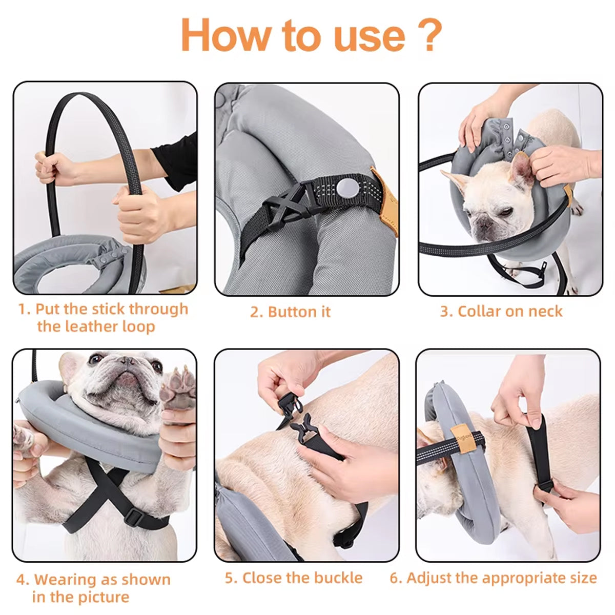 Blind Dog Halo Harness