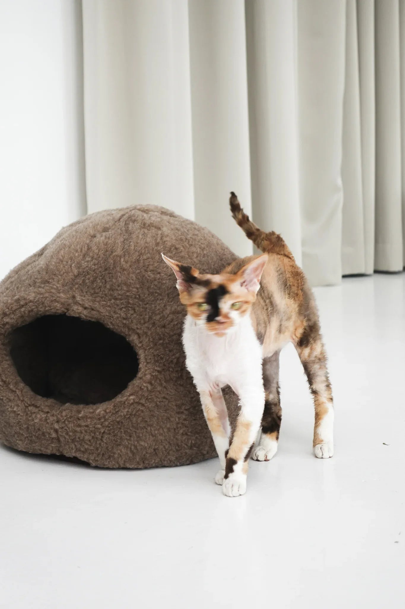 Nest Natural Sheepskin Pet Bed - Beige