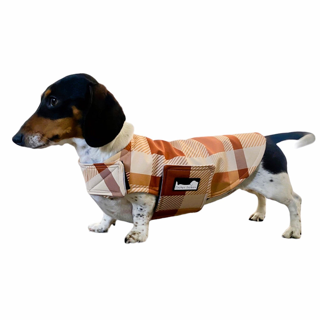 Dachys Jackies - Water resistant Dog jacket - Caramel Delight