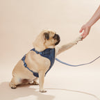 Soft Pet Harness — Classic