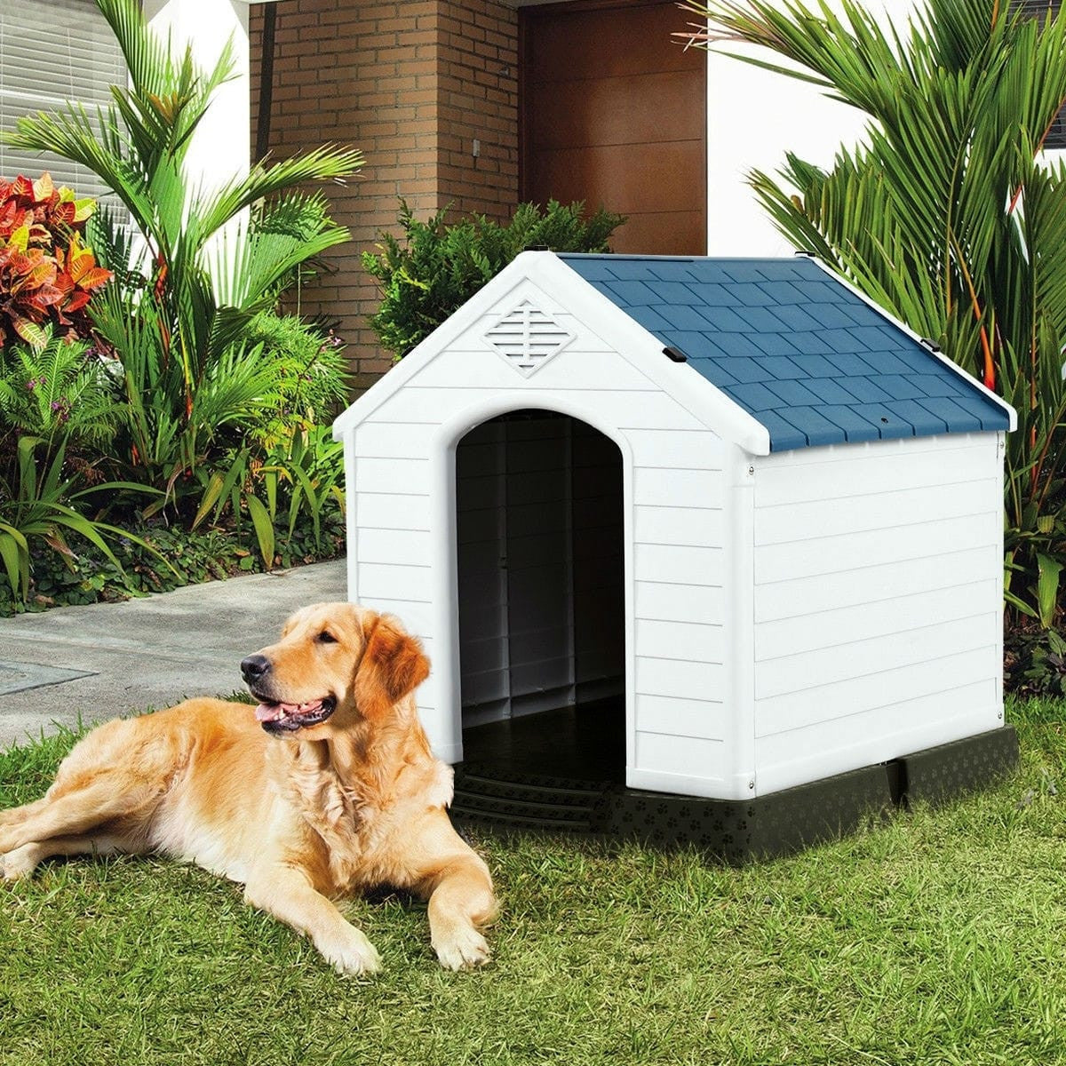 Medium Outdoor Dog House with Raised Floor