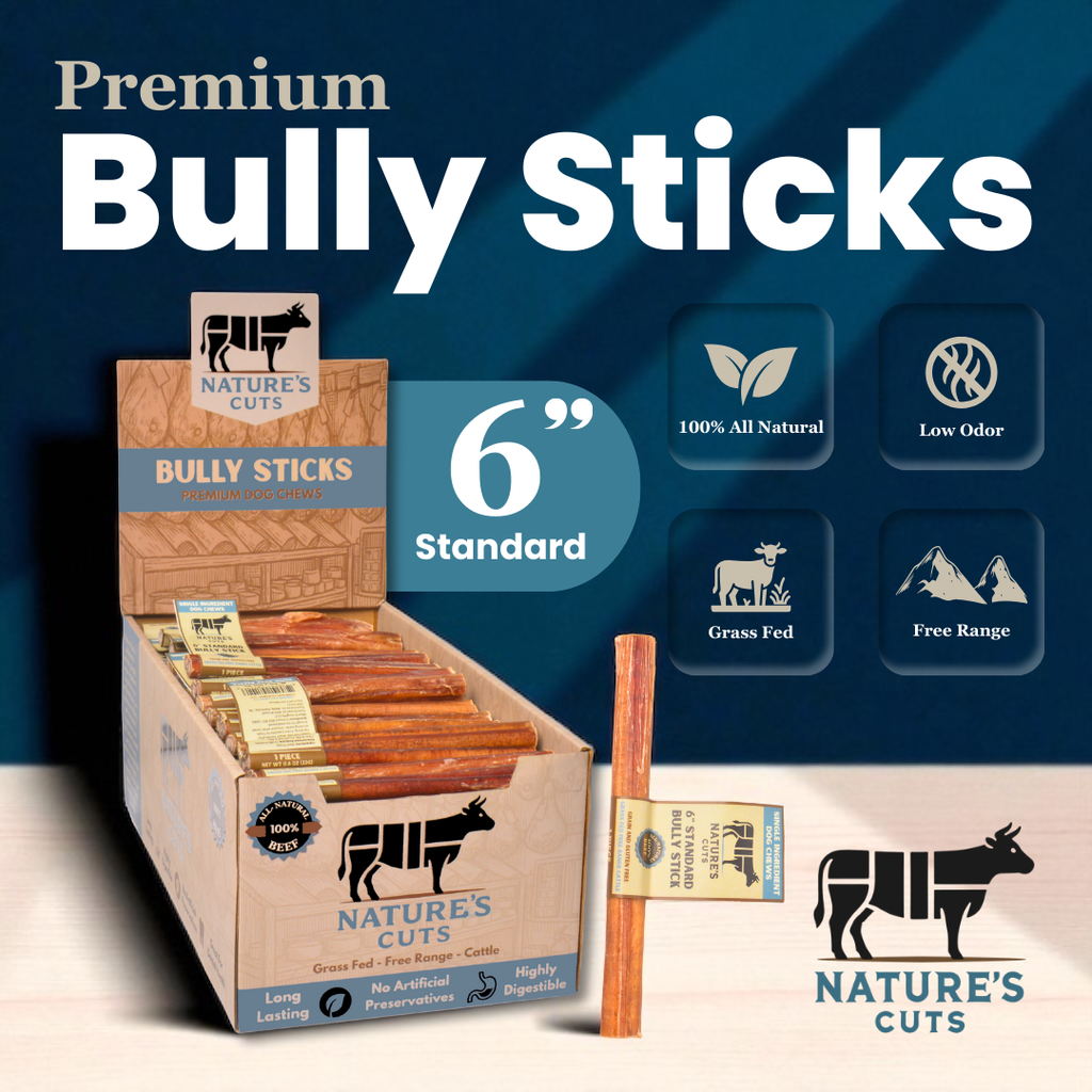 6" Standard Bully Sticks Display Box