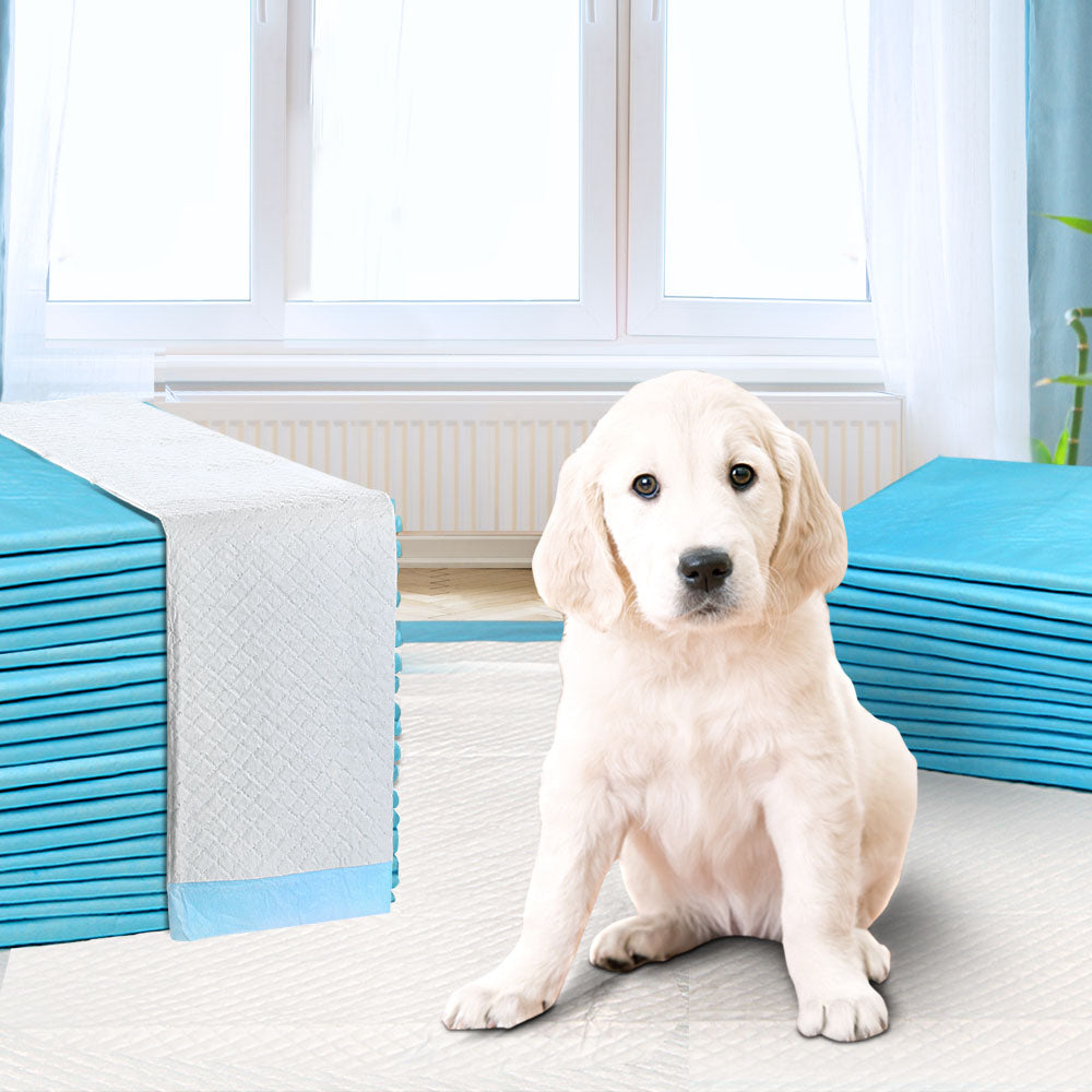 Puppy & Cat Training Pads 60 x 60cm – 400 Pack — view 4