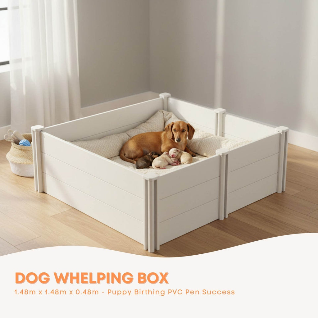 PVC Whelping Box with Anti-Crush Rails — 1.48m