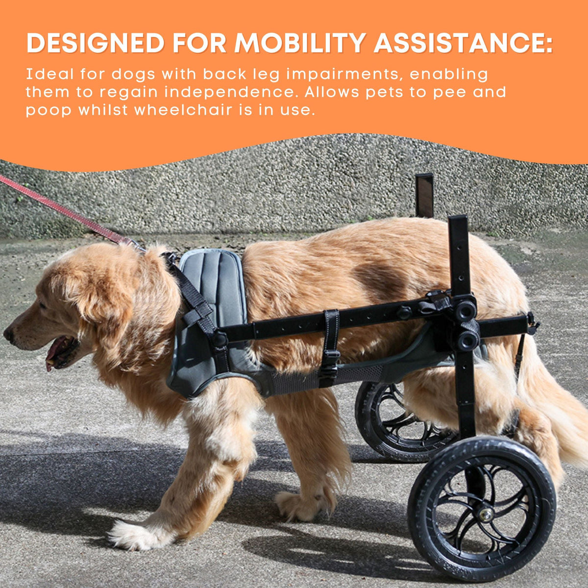 Large Dog Wheelchair — XL