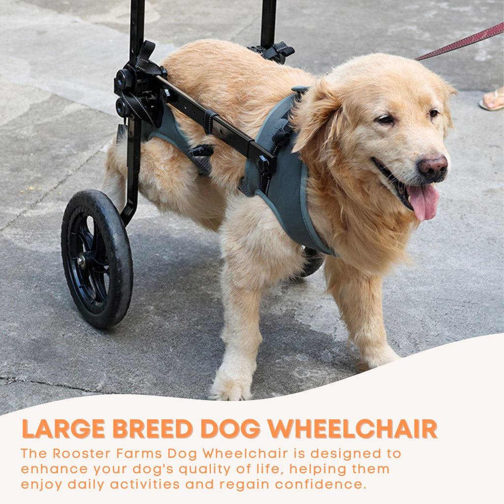 Large Dog Wheelchair with XXL Harness – Back Leg Support — view 4