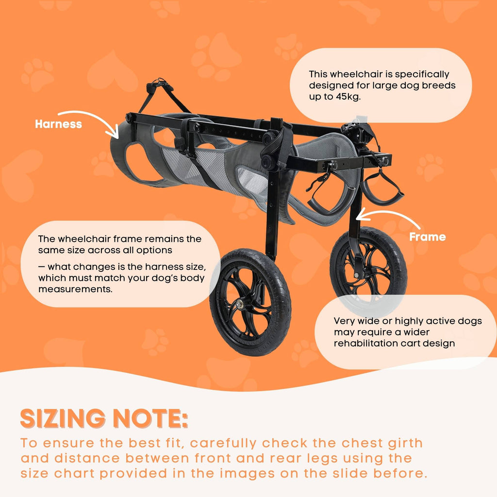 Large Dog Wheelchair with XXL Harness – Back Leg Support — view 5