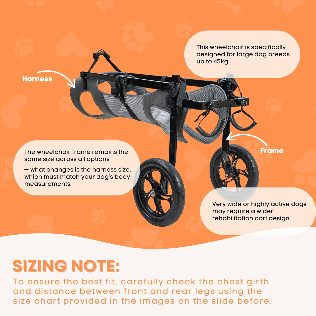 Large Dog Wheelchair with XXL Harness – Back Leg Support — view 5