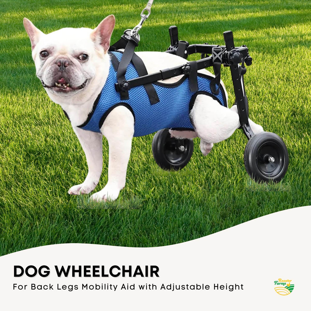 Small Dog Wheelchair Harness — Adjustable Rear Support
