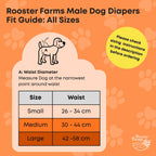 Washable Male Dog Wraps — Large, 3 Pack
