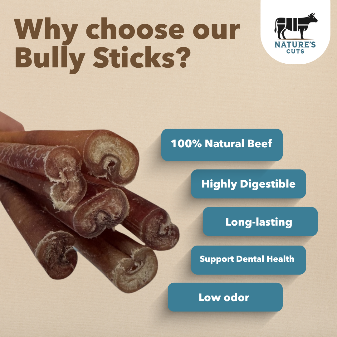 6" Standard Bully Sticks Display Box