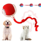 EcoTough Interactive Pet Play Ball