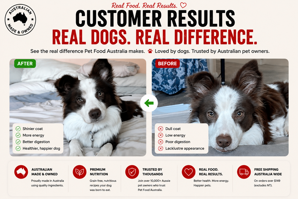 Kangaroo & Ocean Fish Dry Dog Food