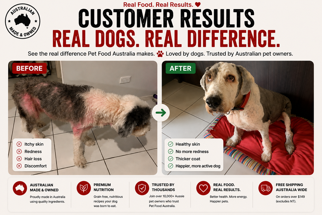 Turkey & Lamb Dry Dog Food — Low Fat