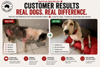 Turkey, Chicken & Ocean Fish Dry Dog Food