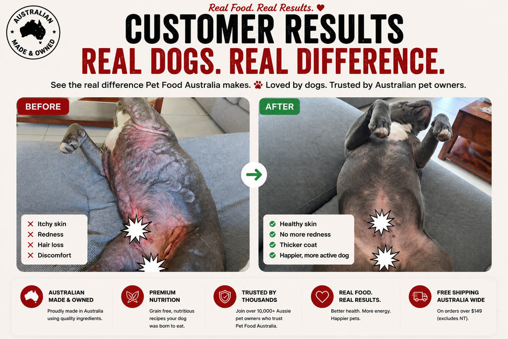 Kangaroo & Ocean Fish Dry Dog Food