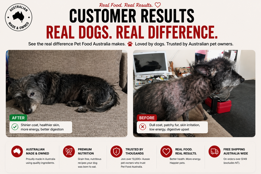 Turkey, Chicken & Ocean Fish Dry Dog Food