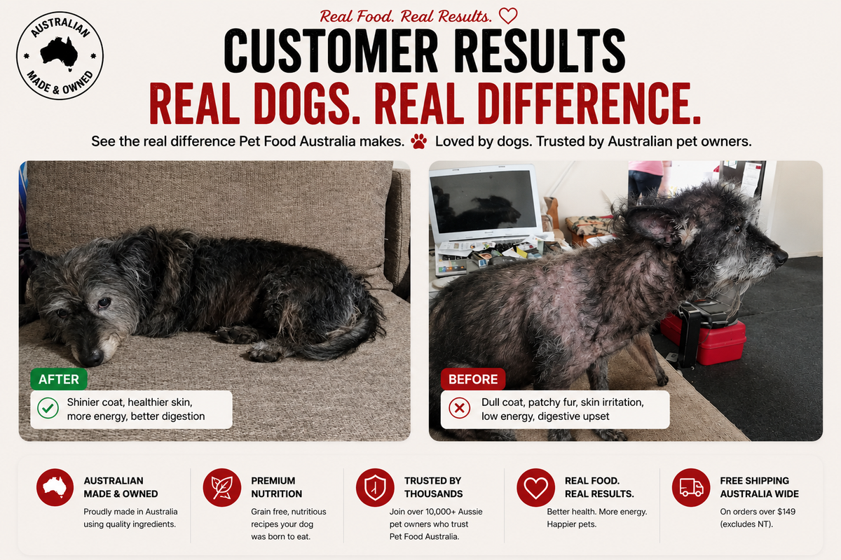 Turkey & Lamb Dry Dog Food — Low Fat