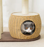 Luxury Cat Climbing Tower