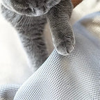 Pet Hammock Bed Free-Standing