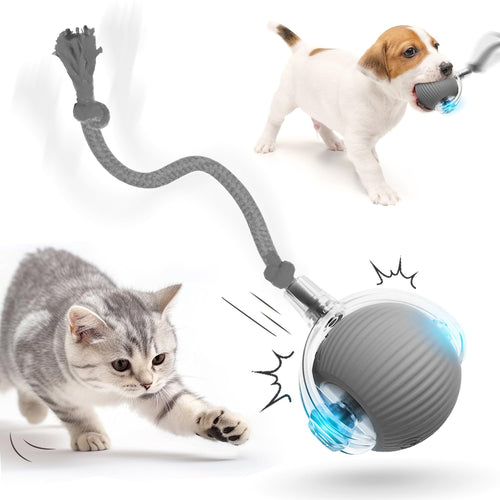 AutoMove Peppy Pet Ball (Gray)
