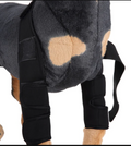 Kniebandage für Hunde