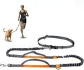 HandsFree Hike: Dual-Handle Retractable Dog Leash