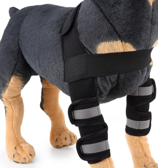 Kniebandage für Hunde