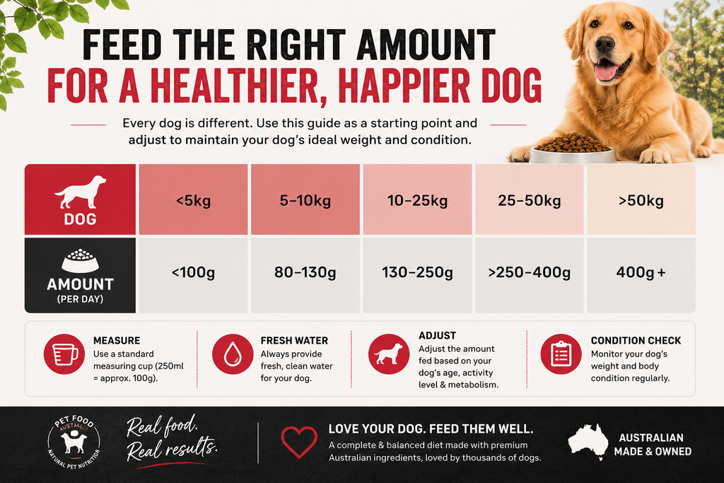 Kangaroo & Ocean Fish Dry Dog Food
