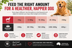 Turkey, Chicken & Ocean Fish Dry Dog Food
