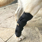 Dog Leggings Injury Prevention Licking