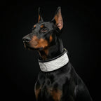 "Dragon Scale" Limited Edition Large Dog Collar — view 3