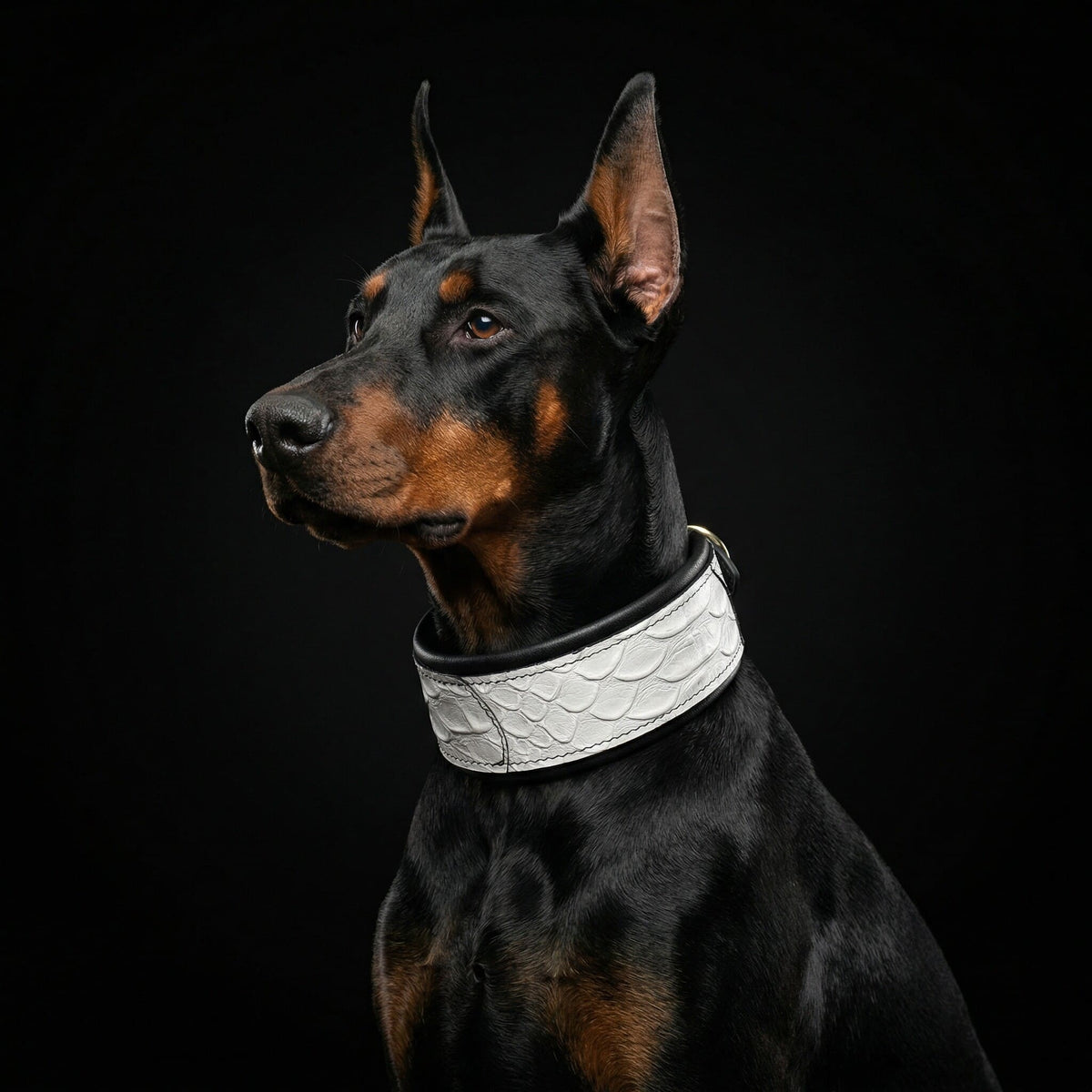 "Dragon Scale" Limited Edition Large Dog Collar — view 3