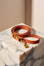 Die Firenze Luxus-Hundeleine aus italienischem Leder