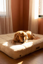 Das orthopädische Hundebett Cloud Nine Bolster Luxury